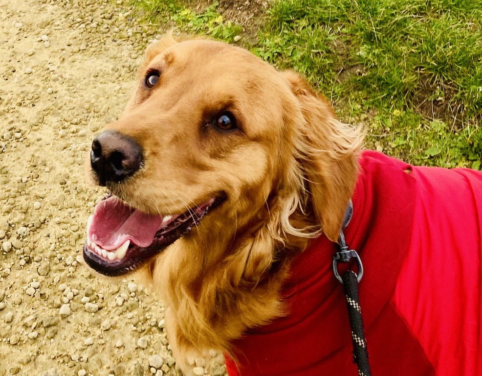 Ian, Anna and Max 🐾