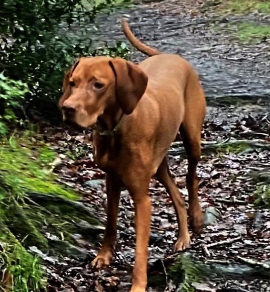 Ralph, Sophie & Winnie  🐾